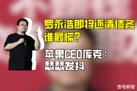 星子星子的要账公司在催收过程中的策略和技巧有哪些？